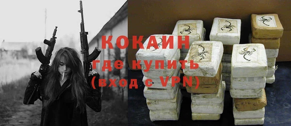 крисы Няндома