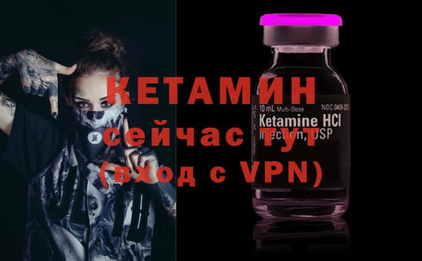 крисы Няндома