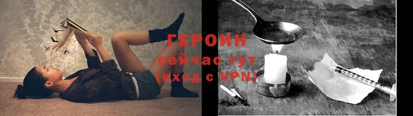 крисы Няндома