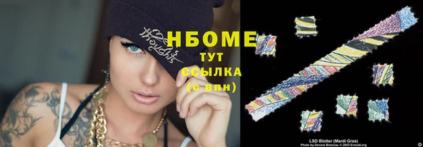 крисы Няндома