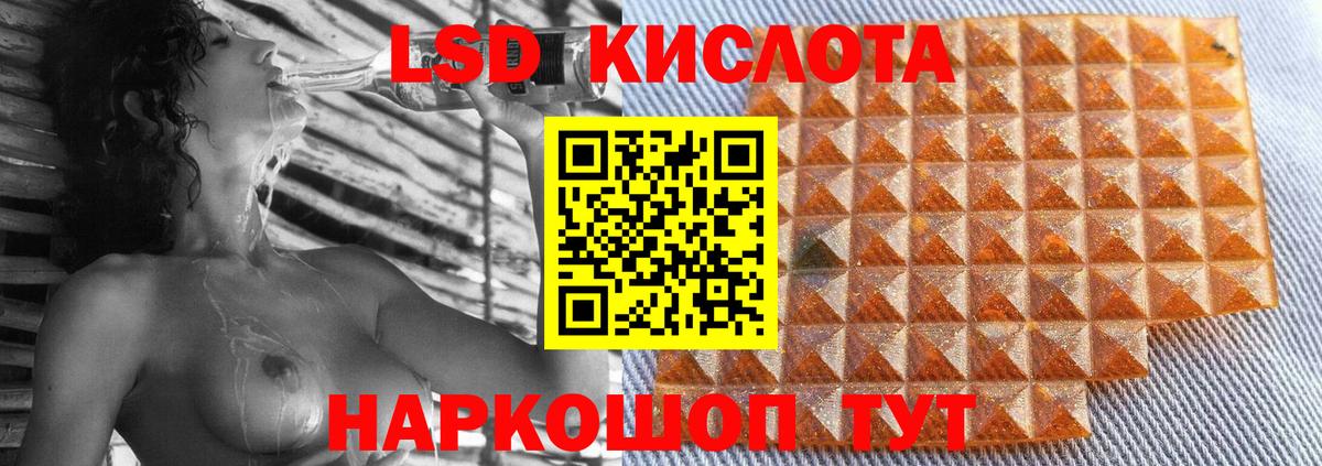 МЕФ Богородицк