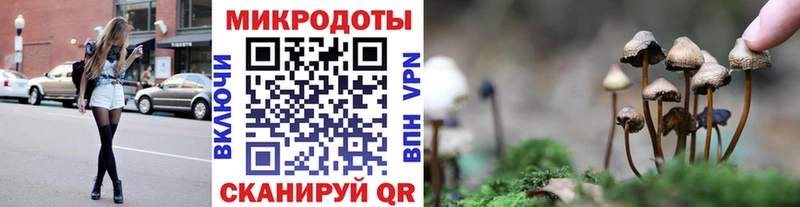 mega tor  Богородицк  Псилоцибиновые грибы ЛСД 