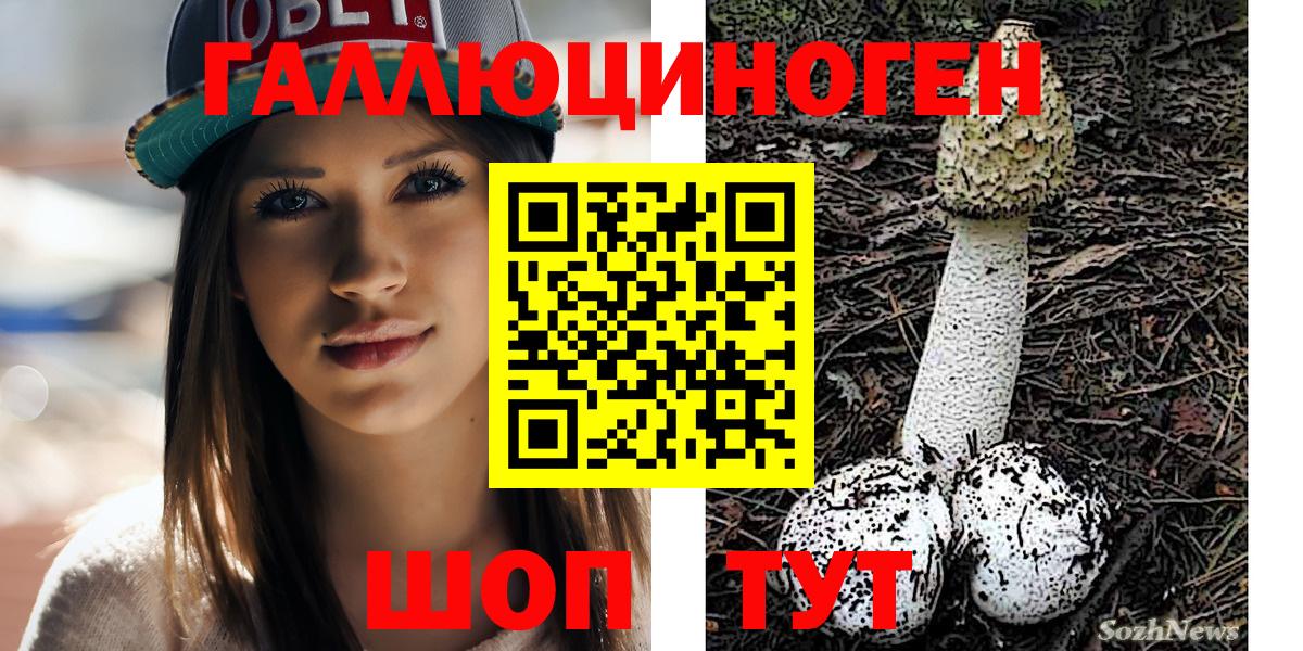 Галлюциногенные грибы прущие грибы Богородицк