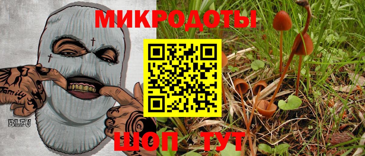 сколько стоит  Богородицк  Галлюциногенные грибы мицелий  Псилоцибиновые грибы Cubensis 