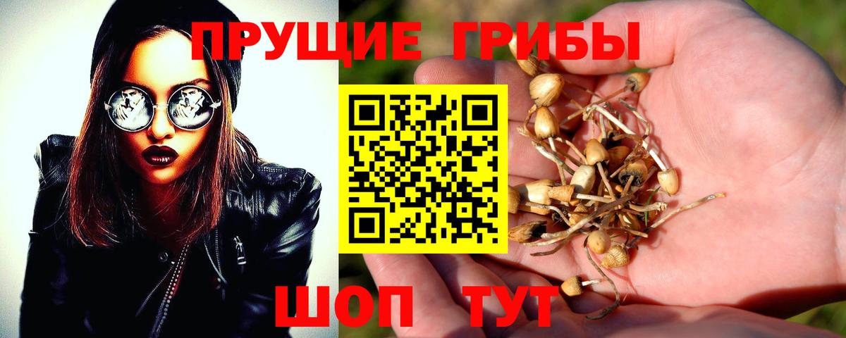 ГАШ Богородицк
