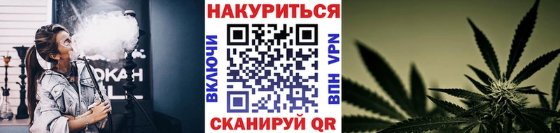 Бошки марихуана Amnesia  где можно купить наркотик  Богородицк 